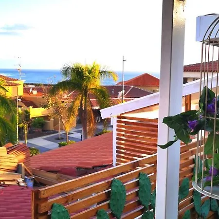 Bunga-love (adults Only) 3*