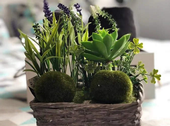 Bunga-love (adults Only) בית הארחה